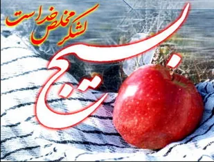بسیج مکتبی برای تفکر و خدمت به ایران و اسلام است