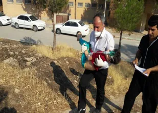 انفجار کپسول شیمیایی در چرداول ۱۰۰ نفر را راهی بیمارستان کرد