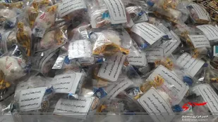 جشن فرخنده میلاد با سعادت کریم آل فاطمه