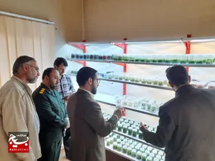 بازدید سردار کبیری&zwnj;پور از موسسه دانش&zwnj;بنیان بذر و نشاء کیمیا سبز ابرار قم