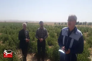 بازدید مدیرکل رفاه اجتماعی استان همدان و مسئول بسیج سازندگی فامنین از روستای اکله