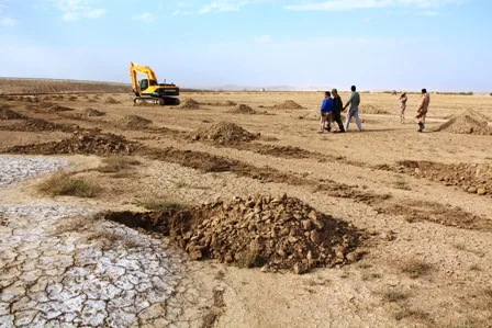 کاشت50هزار اصله نهال در خوزستان برای مقابله با ریزگردها