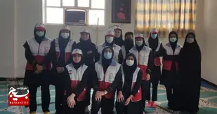 دانش آموزان بسیجی در طرح دادرس مقام برتر شدند
