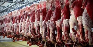۱۵۰ تن حواله گوشت قرمز صادر و به زودی وارد استان