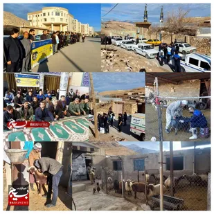 ویزیت رایگان ۶ هزار دام سبک و طیور صنعتی روستای قریه صاحب الزمان