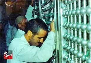 بازگشت پرستوها