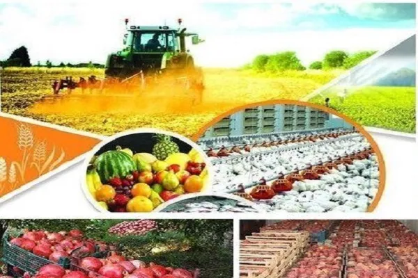 آغاز به کار قرارگاه امنیت غذایی در استان فارس