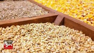 واردات نهاده&zwnj;ها در اولویت قرارگاه اقتصادی اردبیل است