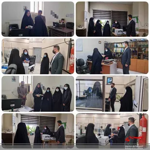 از بانوان محجبه کسبه و شاغل در ادارات عسلویه تجلیل شد