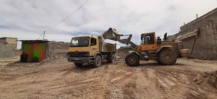 آغاز برداشت دانه های روغنی کلزا در شهرستان شاهرود