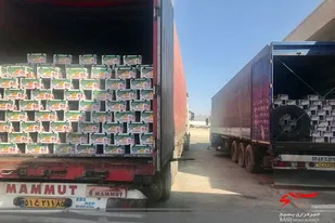 حدود ٩٠ درصد واردات میوه گرمسیری انبه به کشور از مرزهای سیستان و بلوچستان انجام می&zwnj;شود