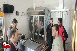 گشت نظارت بر توزیع مواد پروتئینی؛ بررسی عرضه و تقاضا