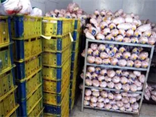 کشف ۳ تن مرغ احتکار شده در یاسوج