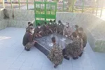 برگزاری مراسم غبار روبی و عطرافشانی گلزار شهدای گمنام مهرشهر