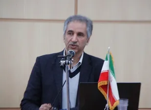 تلفات انرژی برق استان همدان به 11.5 درصد رسید