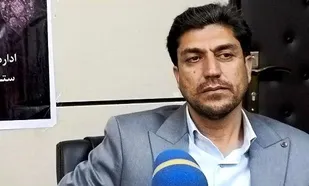 دوسالانه ملی عکس نور با محوریت خانواده شاد ایرانی در ایلام برگزار می شود
