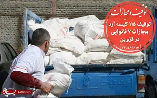 عرضه آرد خارج از ضوابط تعیینی برای ۷ متخلف در قزوین گران تمام شد