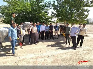 برگزاری دوره آموزش سوارکاری بسیجیان گردان ۱۲۴ امام حسین علیه السلام
