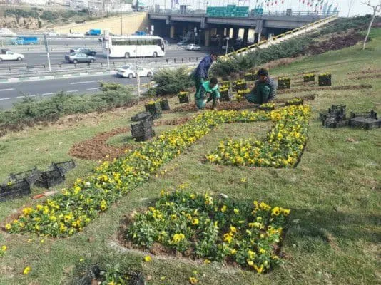 سیمای شهری منطقه 20 بهاری شد