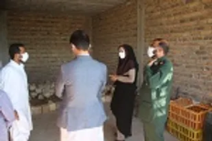 آغاز طرح پویش سلیمانی/بازدید از نانوایی&zwnj;ها و داروخانه&zwnj;های سطح شهر
