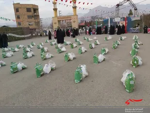 برگزاری نمایشگاه عکس و صنایع دستی در دهه فجر ساوجبلاغ+تصاویر