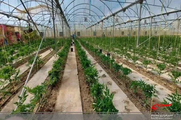 آخرین اخطار به گلخانه داران غیر فعال مجتمع سیادک زاهدان