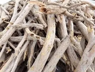 سودجویان منابع طبیعی در شاهرود ۲.۵ میلیارد ریال جریمه شدند