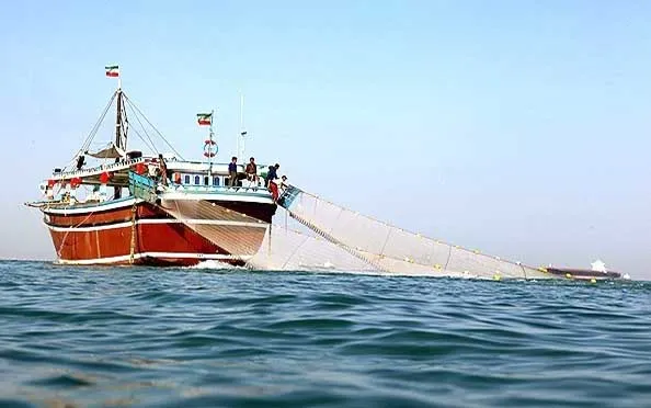 توقیف ۶ شناور صید کف روب در دیر و کنگان