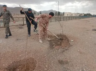 کاشت نهال بمناسبت روز درخت کاری، هر نهال به نام یک شهید