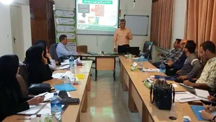 برگزاری کارگاه آموزشی کشت هیدروپونیک در شاهرود