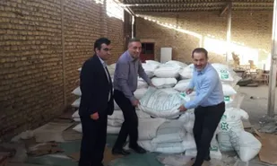 توزیع شکر حمایتی برای زنبورداران شهرستان پیشوا