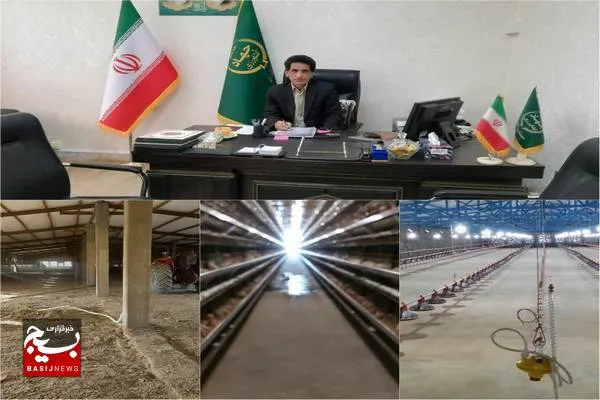 سرمایه گذاری ۷۷۱ میلیارد تومانی بخش‌خصوصی در صنعت طیور شهرستان زاهدان