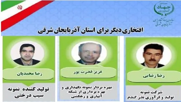 موفقیت کشاورزان مراغه‌ای در سطح ملی