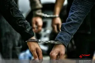 دستگیری یک سارق با همکاری بسیجیان شهرستان دلگان