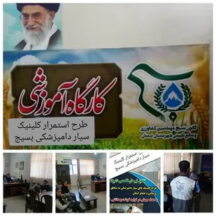 نخستین کارگاه آموزشی طرح استمرار کلینیک دامپزشکی در سمنان برگزار شد