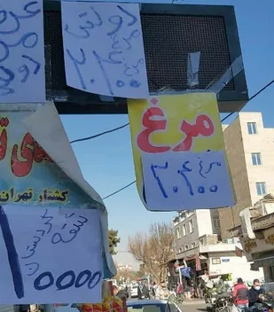 توزیع ۵ تن مرغ با قیمت مصوب در ۱۱ نقطه  شهرستان ری