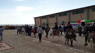 برگزاری مسابقات بومی و محلی در روستای چهارطاق، شاهرود+ تصاویر