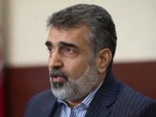 تا تحریم&zwnj;ها لغو نشود اطلاعاتی به آژانس نمی&zwnj;دهیم