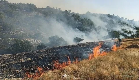 ۸ گروه جهادی آتش ارتفاعات 