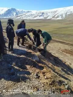 کاشت نهال در شهرستان خانمیرزا