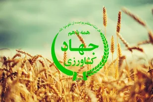 رشد چشمگیر تولیدات پروتئین و لبنیات در استان مرکزی