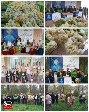 ۸هزار شاخه گل از نرگسزار بهبهان به حرم امام هشتم اهداء شد