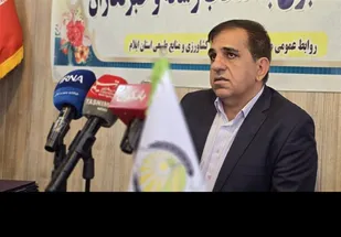 ایلام پیشرو در تولید بذرهای استراتژیک/ تولید ۹۸ درصد بذرهای اصلاح شده در استان