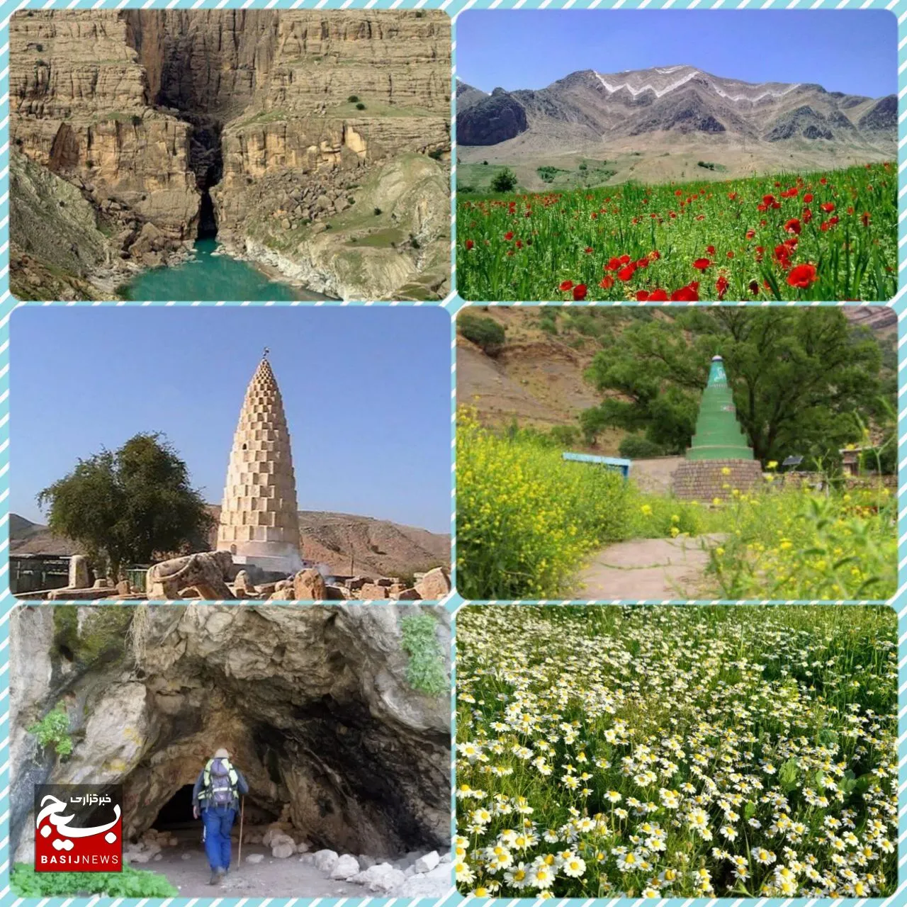 دشت لاله های سرخ در شمال شرق خوزستان