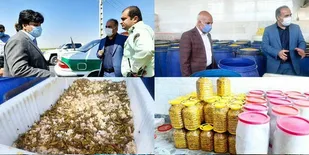 واحدهای صنفی غیربهداشتی بخش قلعه نو تعطیل شد
