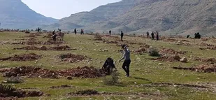 کاشت 2000 اصله نهال در روستای دوپرنظری شهرستان بهمئی + (تصاویر)