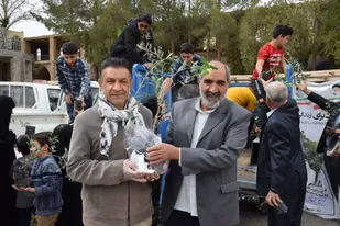 توزیع نهال رایگان بین نمازگزاران جمعه مهریز