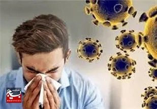 تداوم تاخت و تاز بی&zwnj;رحمانه آنفلوانزا در اردبیل/جان باختن 3 نفر