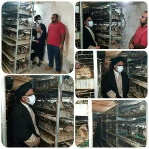 دیدار امام جمعه دهلران با کارآفرین جوان روستای بیشه دراز دهلران