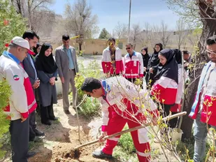افتخار آفرینی جوانان هلال احمر چهارمحال و بختیاری در پویش ملی &laquo;هر ایرانی سه درخت&raquo;